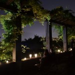 la Nuit des Musees/2014